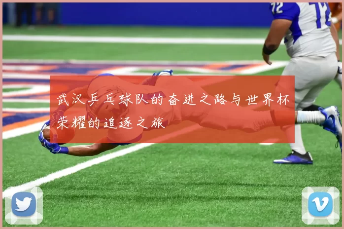 武汉乒乓球队的奋进之路与世界杯荣耀的追逐之旅