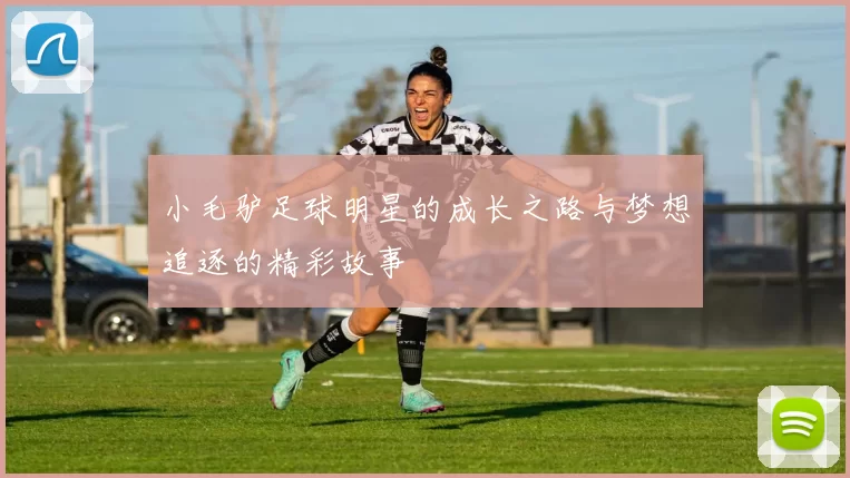 小毛驴足球明星的成长之路与梦想追逐的精彩故事