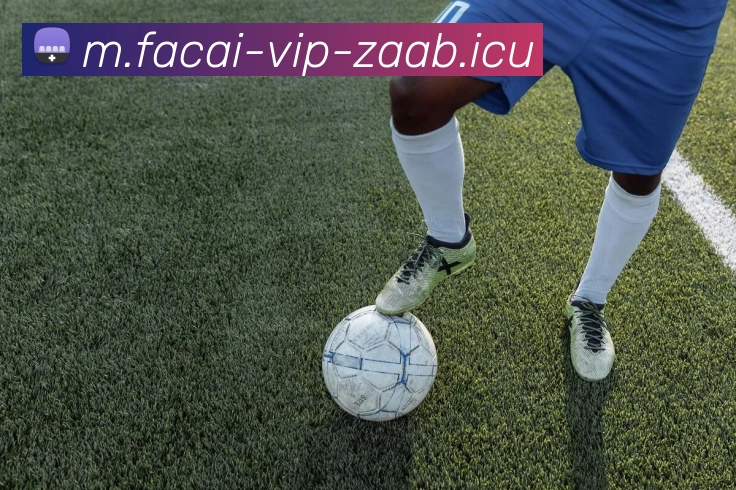 米兰体育注册平台生态图